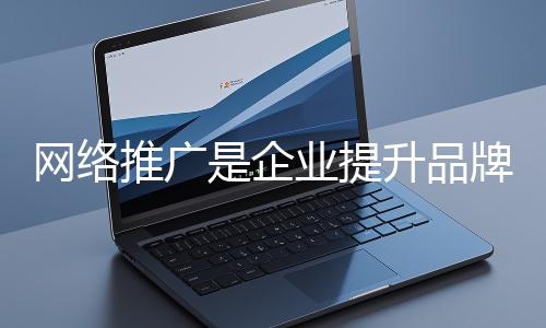 網(wǎng)絡(luò)推廣是企業(yè)提升品牌影響力、拓展市場(chǎng)的重要手段